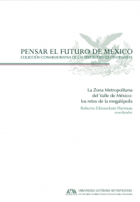 La zona metropolitana del valle de México: los retos de la megápolis